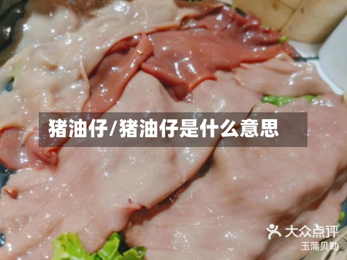 猪油仔/猪油仔是什么意思-第1张图片