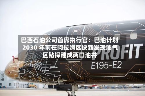 巴西石油公司首席执行官：巴油计划 2030 年前在阿拉姆区块新发现油气区钻探建成两口油井-第2张图片