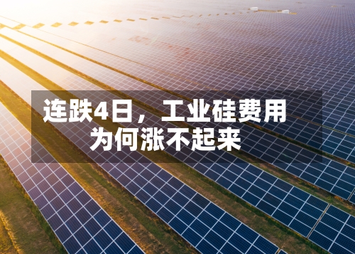 连跌4日，工业硅费用为何涨不起来-第1张图片