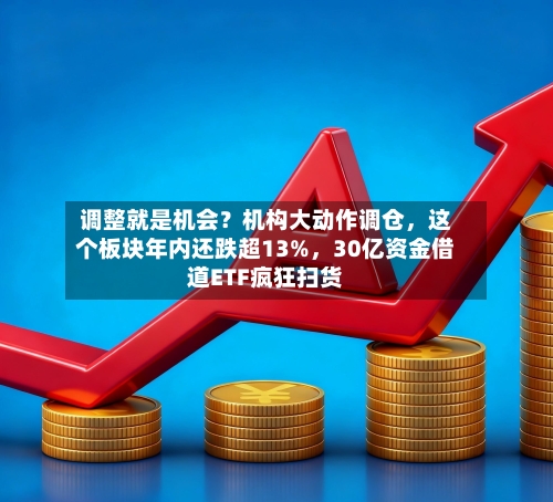 调整就是机会？机构大动作调仓	，这个板块年内还跌超13%，30亿资金借道ETF疯狂扫货-第2张图片