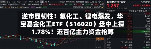 逆市显韧性！氟化工	、锂电爆发	，华宝基金化工ETF（516020）盘中上探1.78%！近百亿主力资金抢筹-第1张图片