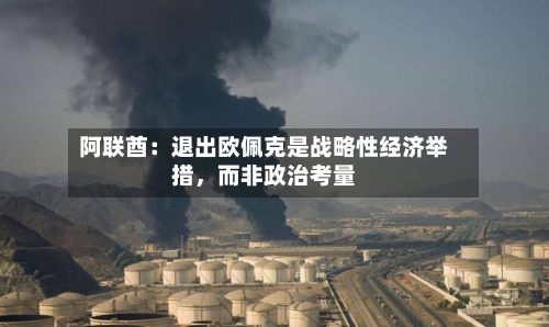 阿联酋：退出欧佩克是战略性经济举措	，而非政治考量-第2张图片