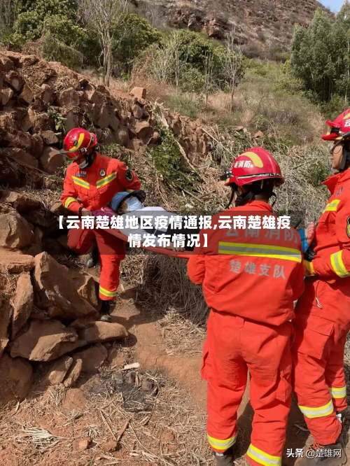 【云南楚雄地区疫情通报,云南楚雄疫情发布情况】-第2张图片
