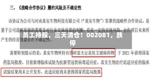 员工持股，三天清仓！002081	，跌停-第3张图片