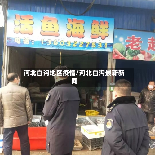 河北白沟地区疫情/河北白沟最新新闻-第2张图片