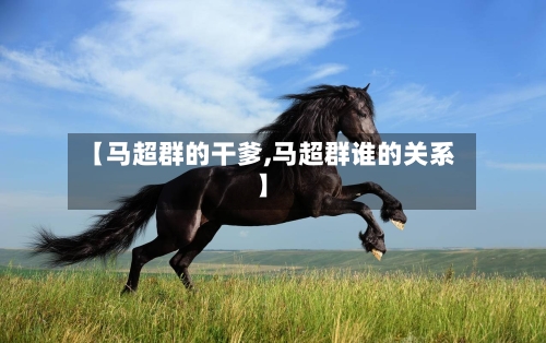 【马超群的干爹,马超群谁的关系】-第2张图片