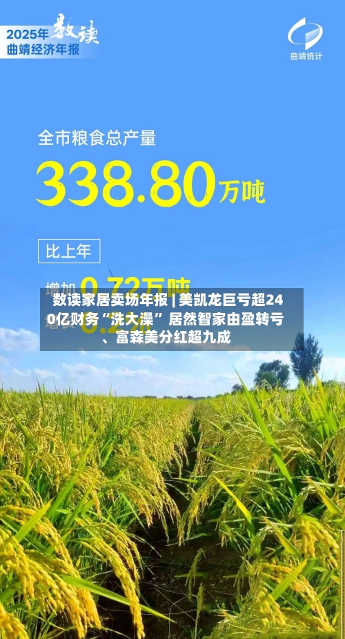 数读家居卖场年报 | 美凯龙巨亏超240亿财务“洗大澡” 居然智家由盈转亏	、富森美分红超九成-第1张图片