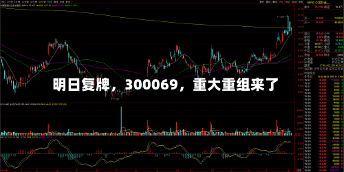 明日复牌	，300069，重大重组来了-第2张图片