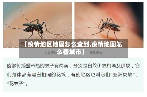 【疫情地区地图怎么查到,疫情地图怎么看城市】-第1张图片