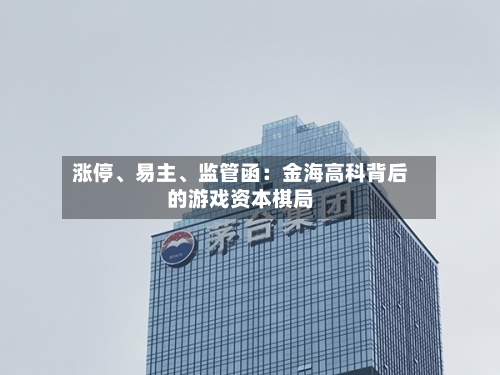 涨停、易主	、监管函：金海高科背后的游戏资本棋局-第2张图片