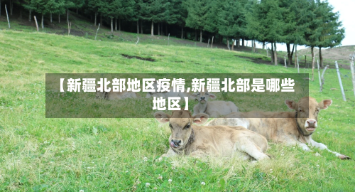 【新疆北部地区疫情,新疆北部是哪些地区】-第2张图片