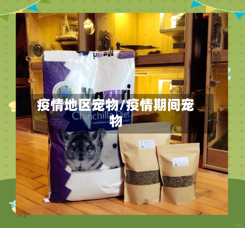 疫情地区宠物/疫情期间宠物-第2张图片