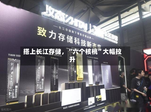搭上长江存储，“六个核桃	”大幅拉升-第1张图片