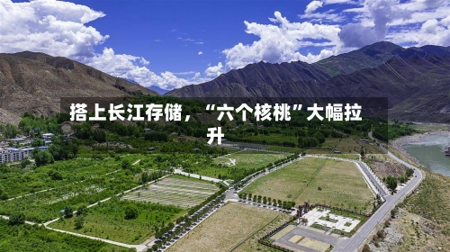 搭上长江存储，“六个核桃”大幅拉升-第3张图片