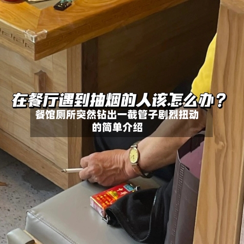 餐馆厕所突然钻出一截管子剧烈扭动的简单介绍-第2张图片