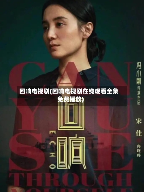 回响电视剧(回响电视剧在线观看全集免费播放)-第2张图片