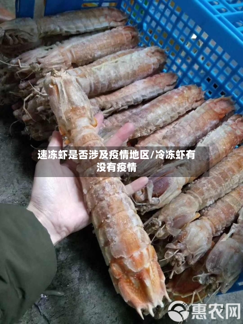 速冻虾是否涉及疫情地区/冷冻虾有没有疫情-第3张图片