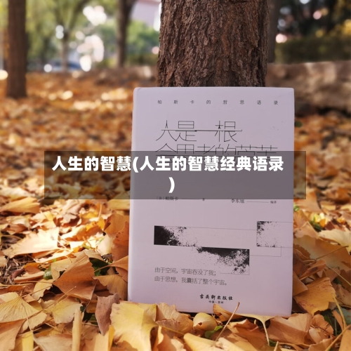 人生的智慧(人生的智慧经典语录)-第2张图片