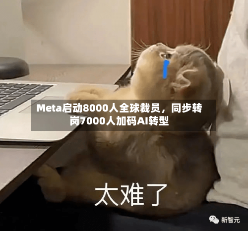 Meta启动8000人全球裁员，同步转岗7000人加码AI转型-第1张图片