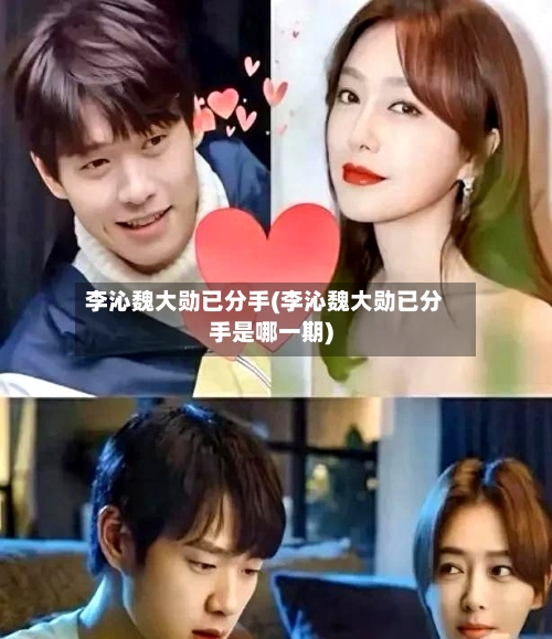 李沁魏大勋已分手(李沁魏大勋已分手是哪一期)-第2张图片