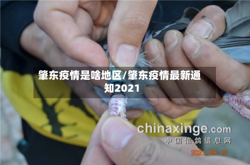 肇东疫情是啥地区/肇东疫情最新通知2021-第2张图片