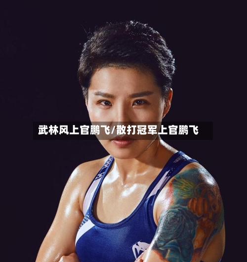 武林风上官鹏飞/散打冠军上官鹏飞-第1张图片