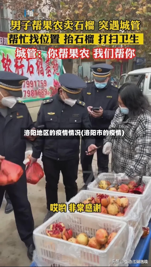 洛阳地区的疫情情况(洛阳市的疫情)-第1张图片