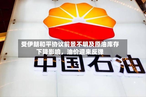受伊朗和平协议前景不明及原油库存下降影响，油价迎来反弹-第3张图片