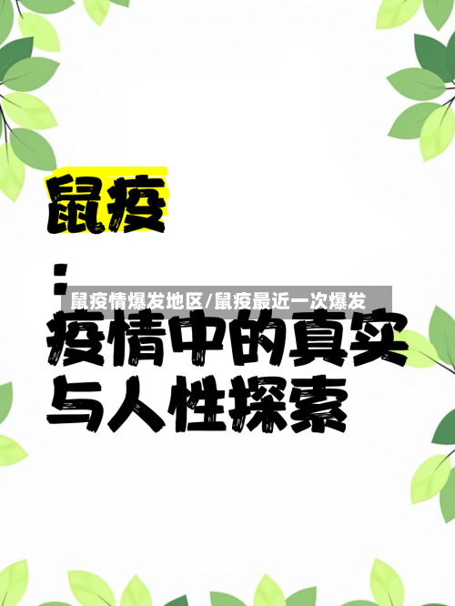 鼠疫情爆发地区/鼠疫最近一次爆发-第3张图片