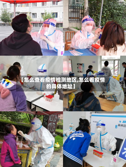 【怎么查看疫情检测地区,怎么看疫情的具体地址】-第2张图片