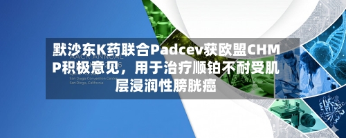 默沙东K药联合Padcev获欧盟CHMP积极意见，用于治疗顺铂不耐受肌层浸润性膀胱癌-第1张图片