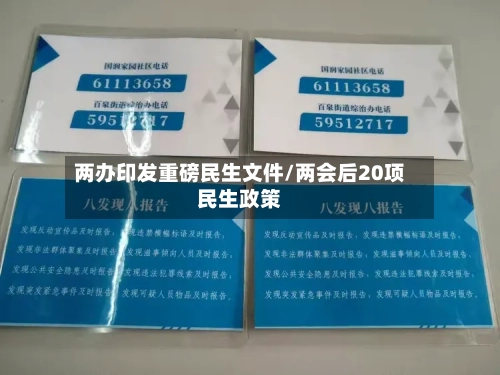 两办印发重磅民生文件/两会后20项民生政策-第1张图片