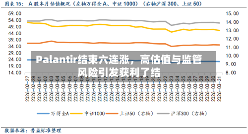 Palantir结束六连涨，高估值与监管风险引发获利了结-第2张图片