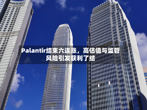Palantir结束六连涨，高估值与监管风险引发获利了结-第3张图片
