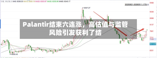 Palantir结束六连涨	，高估值与监管风险引发获利了结-第1张图片