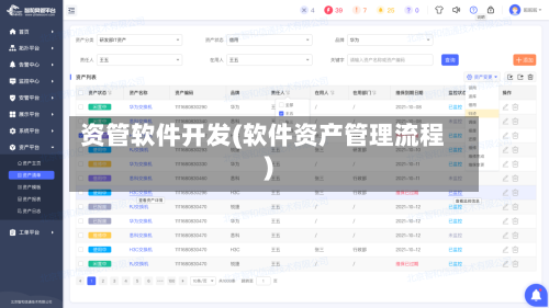 资管软件开发(软件资产管理流程)-第2张图片