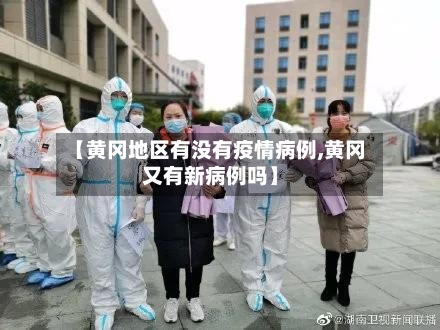 【黄冈地区有没有疫情病例,黄冈又有新病例吗】-第2张图片