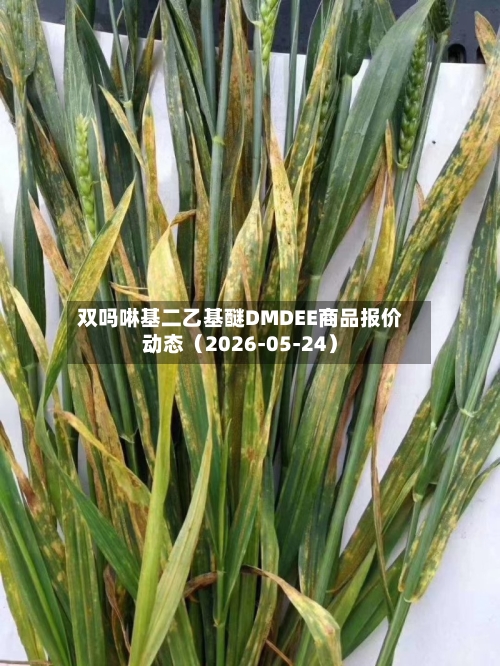 双吗啉基二乙基醚DMDEE商品报价动态（2026-05-24）-第1张图片