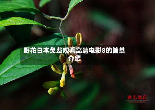 野花日本免费观看高清电影8的简单介绍-第1张图片