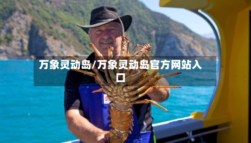 万象灵动岛/万象灵动岛官方网站入口-第2张图片