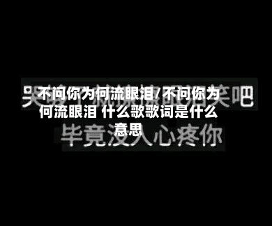 不问你为何流眼泪/不问你为何流眼泪 什么歌歌词是什么意思-第2张图片