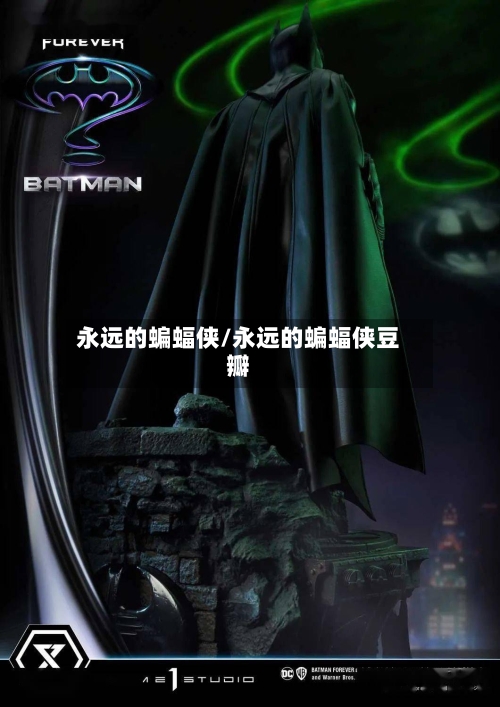 永远的蝙蝠侠/永远的蝙蝠侠豆瓣-第1张图片