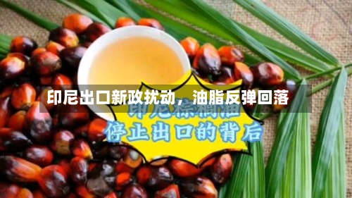 印尼出口新政扰动，油脂反弹回落-第1张图片