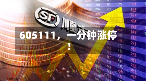 605111	，一分钟涨停！-第1张图片