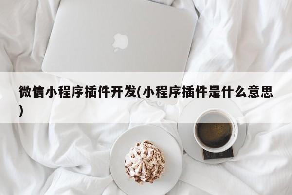 微信小程序插件开发(小程序插件是什么意思)