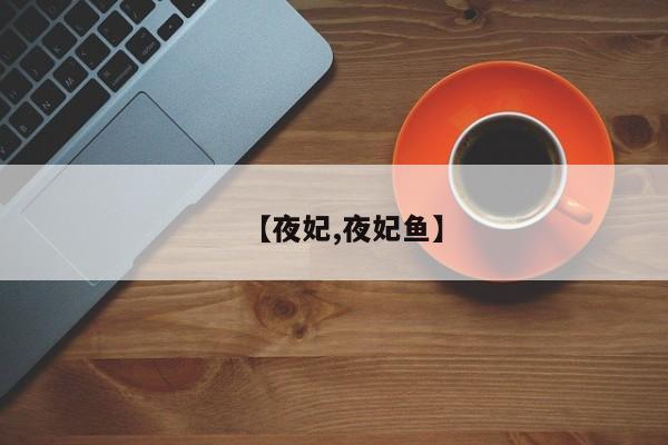 【夜妃,夜妃鱼】